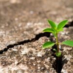 Famous Quotes About Overcoming Challenges