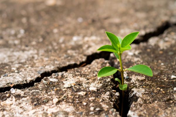Famous Quotes About Overcoming Challenges